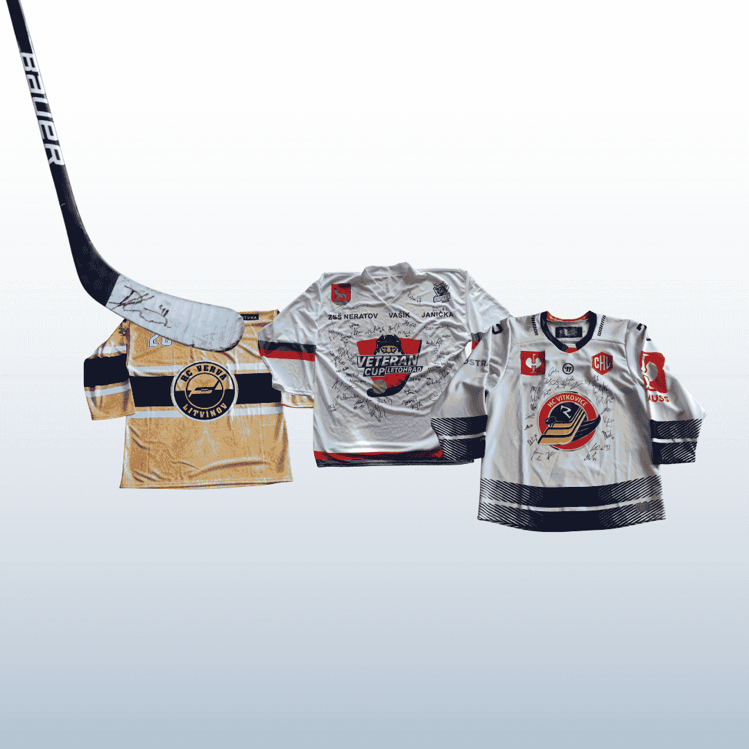 V předvánoční charitativní aukci se vydražilo 33 tisíc korun!