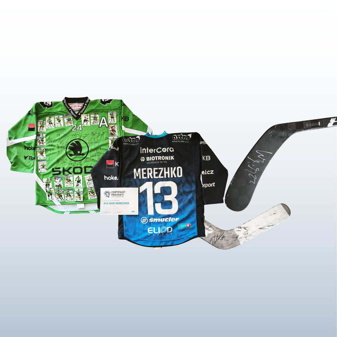 Začala 4. charitativní aukce! Vydražte si hokejky či dresy českých hokejových reprezentantek