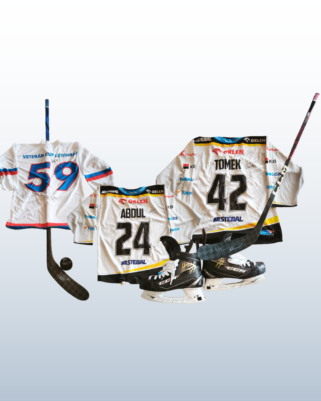 Začala 5. charitativní aukce! Vydržte si hokejové dresy, hokejky nebo také brusle