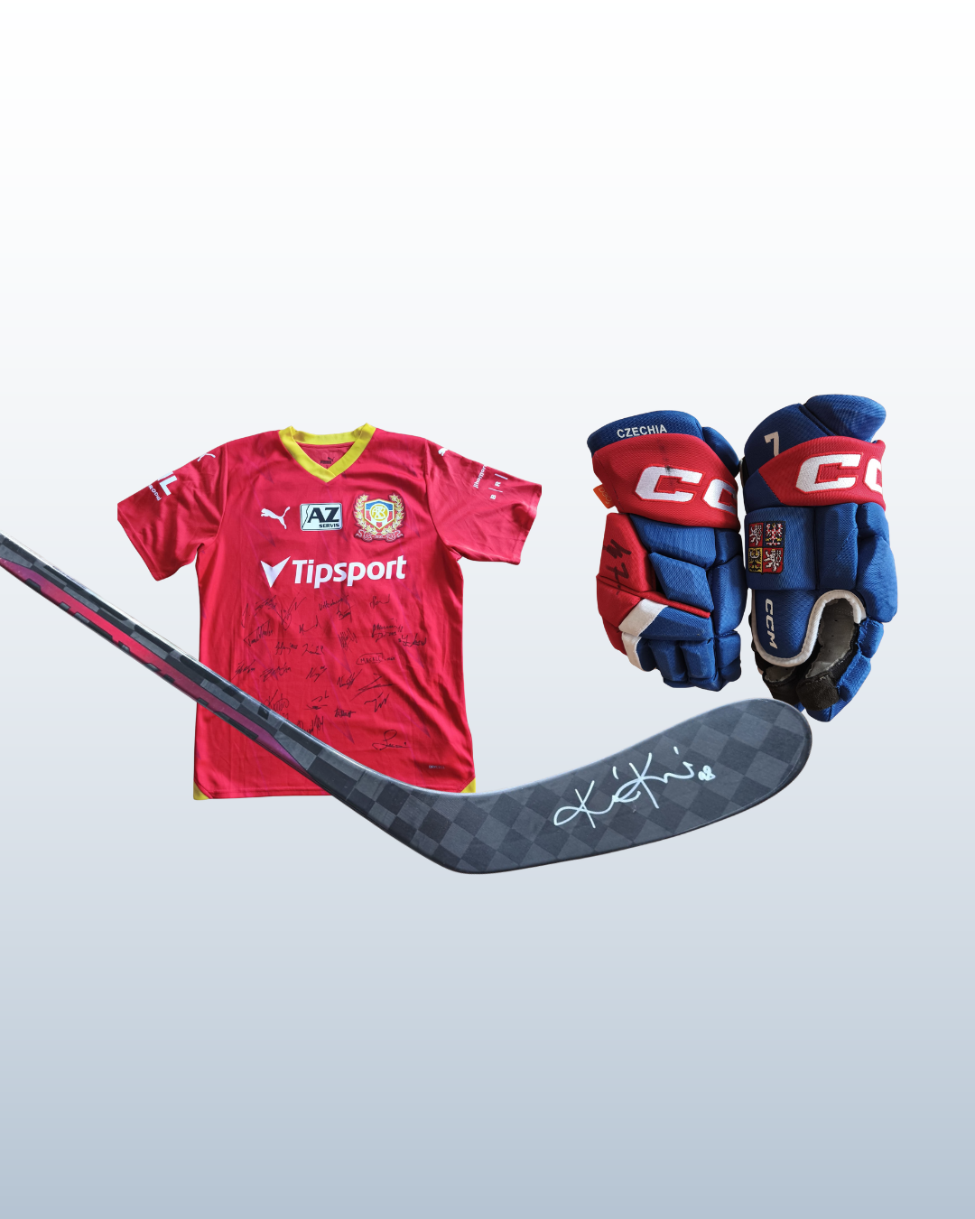 V 1. charitativní aukci se vybralo 32 tisíc korun!