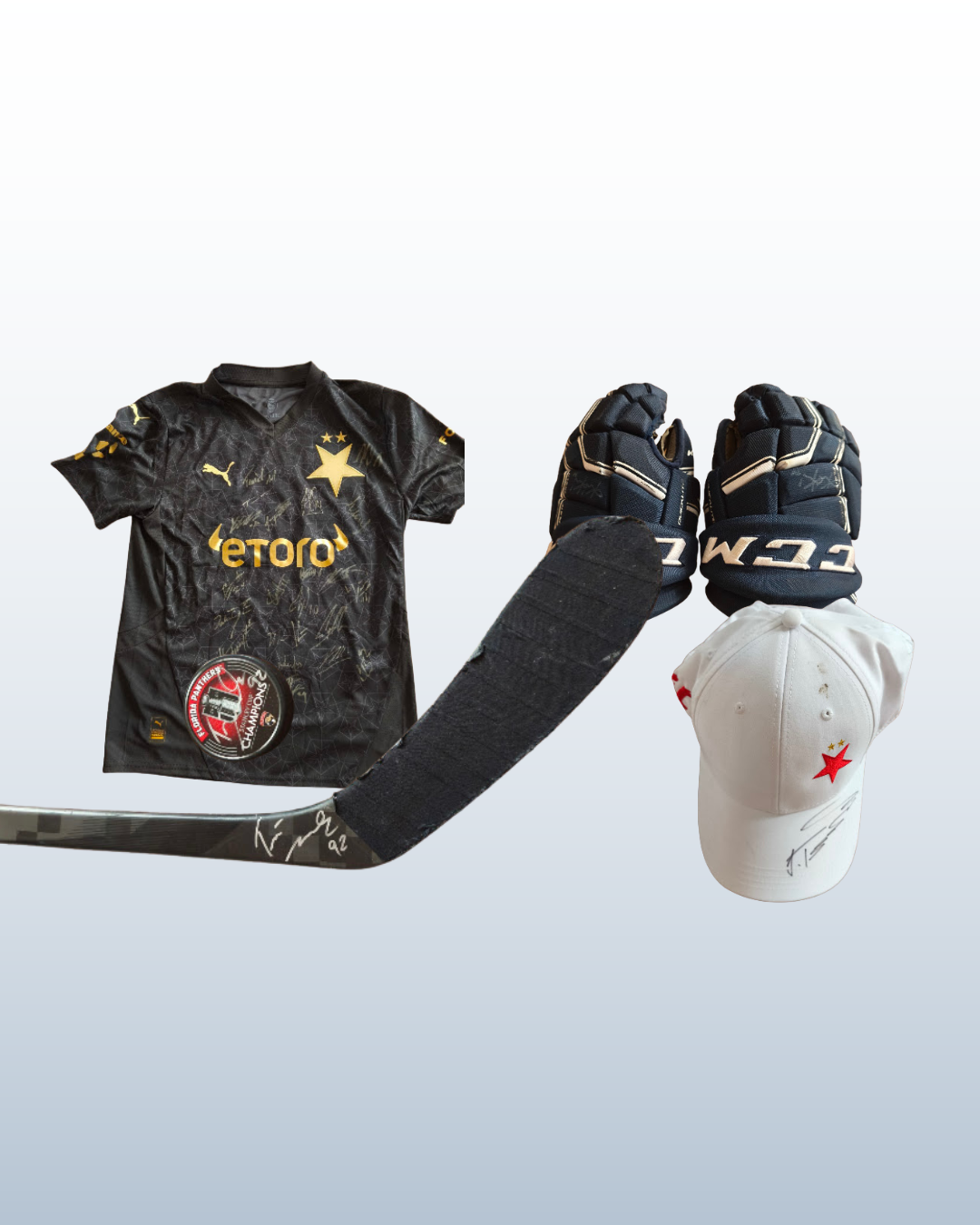 Právě probíhá 2. charitativní aukce sportovních předmětů!